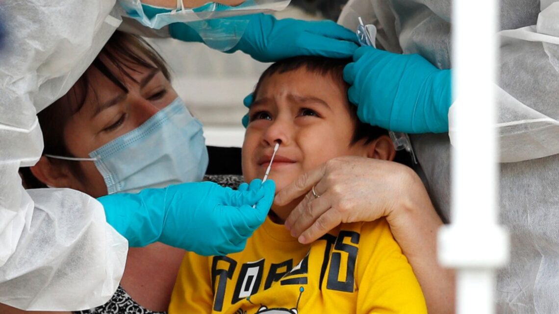 Penipuan Tes PCR – Semua Bukti Bahwa Tes PCR Tidak Berguna Untuk Diagnostik Covid 19