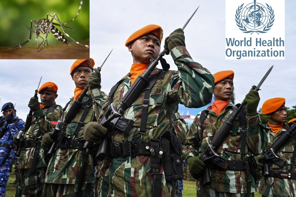 Nyamuk Terinfeksi Wolbachia dan Keterlibatan Militer