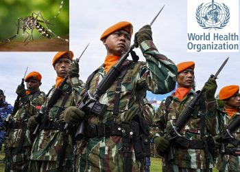 Nyamuk Terinfeksi Wolbachia dan Keterlibatan Militer