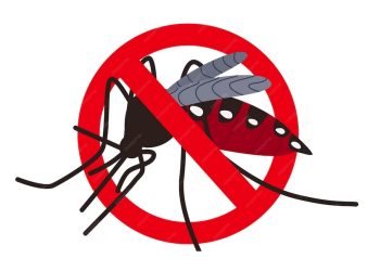 The Public Wants the Wolbachia Mosquito Release Program to be Stopped