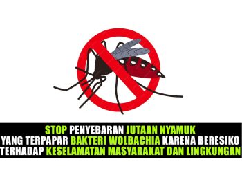 Masyarakat Ingin Program Pelepasan Nyamuk Wolbachia Dihentikan